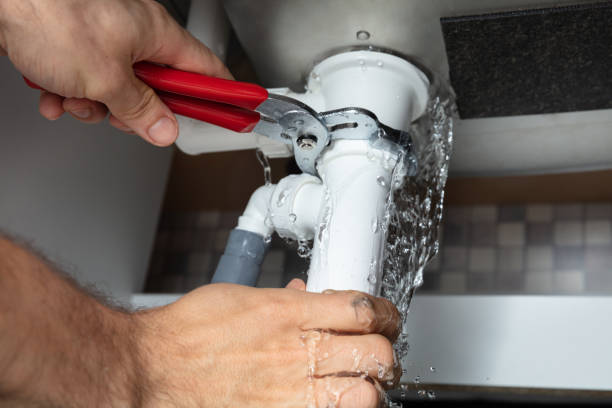 Best Professional water damage repair  in Alma, GA