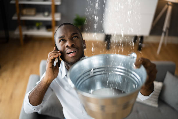 Best Ceiling water damage repair  in Alma, GA
