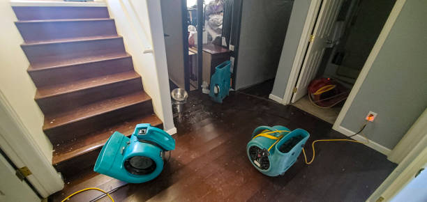 Best Water damage restoration experts  in Alma, GA