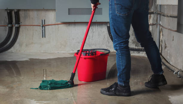 Best Mold removal after water damage  in Alma, GA