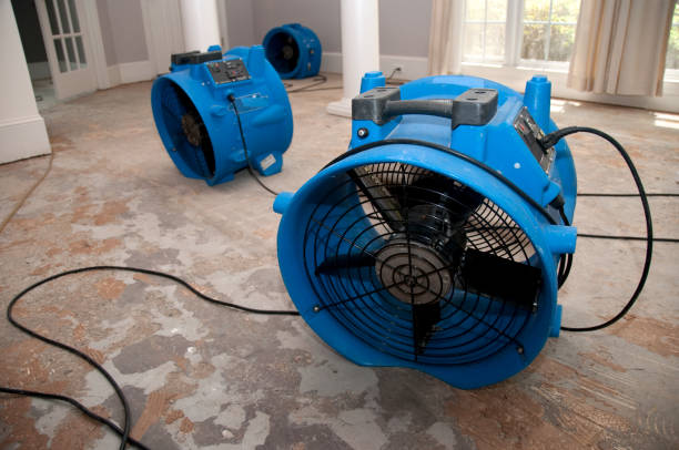 Best Water damage contractors near me  in Alma, GA