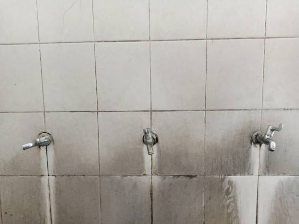 Best Water damage restoration near me  in Alma, GA