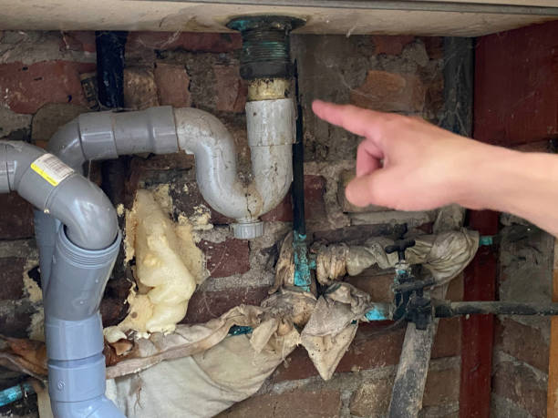 Best Carpet water damage restoration  in Alma, GA